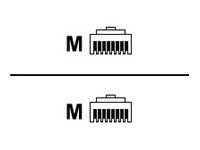 HPE Ethernet 14ft CAT5e RJ45 M/M Cable