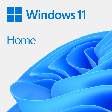 Microsoft Microsoft Windows 11 Home 64Bit DSP