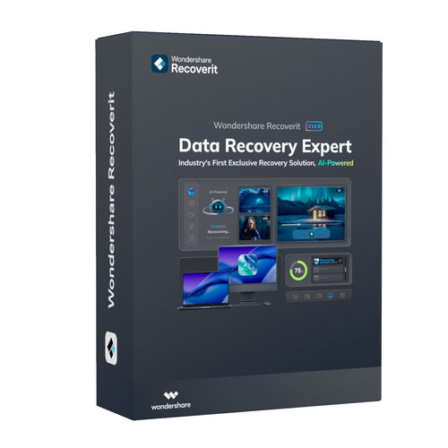 Wondershare Recoverit Data Recovery Expert for MacOS Individual